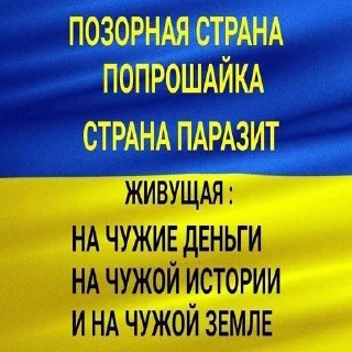 Sticker Хохлятина - 11