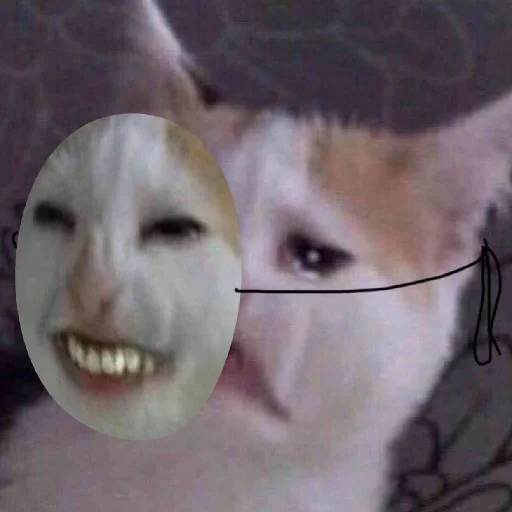 Sticker HoholSanya - 1