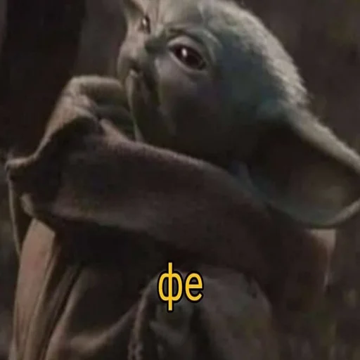 млекопитающее животное