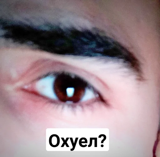 Sticker HokkuConkyKnow :: @fStikBot - 3