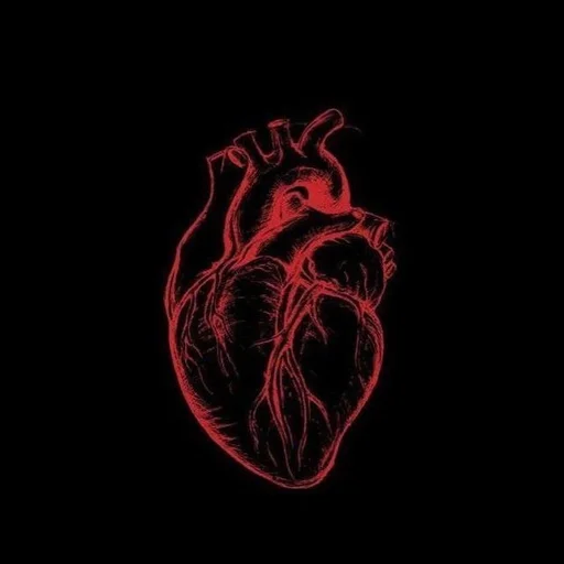 Sticker HokkuConkyKnow :: @fStikBot - 0