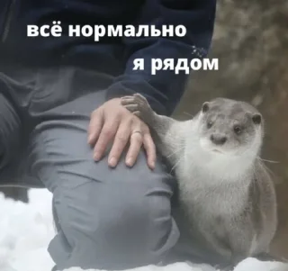 Стикер Holagurll21 - 3