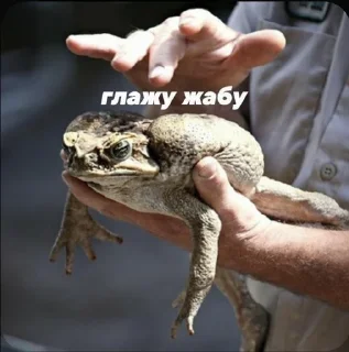 Стикер Holagurll21 - 6