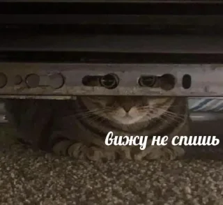 Стикер Holagurll21 - 5