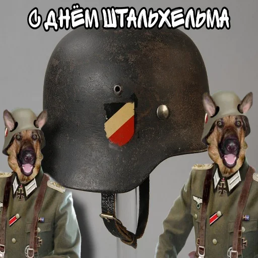 Sticker holidays every day - 5