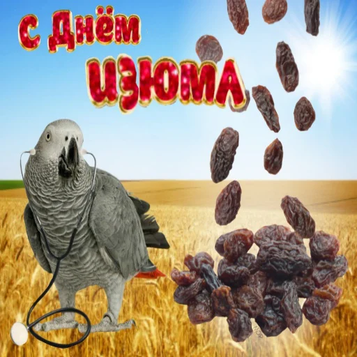 Sticker holidays every day - 2