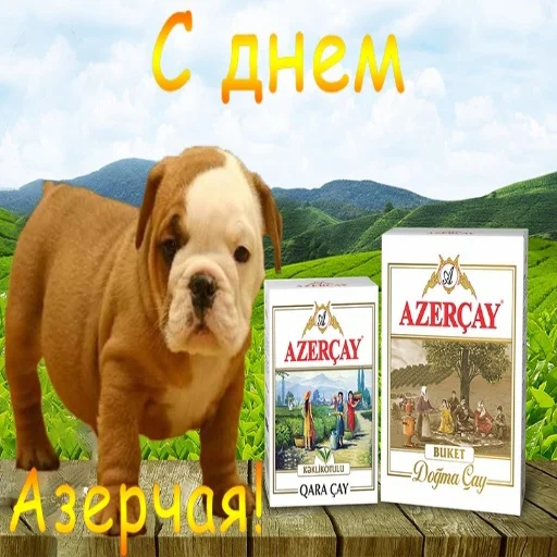 Sticker holidays every day - 1