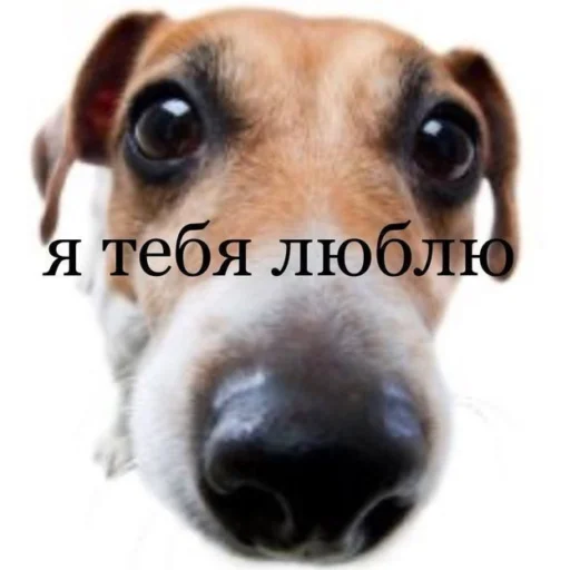 Sticker cigarettes in a pack of coffee - 2