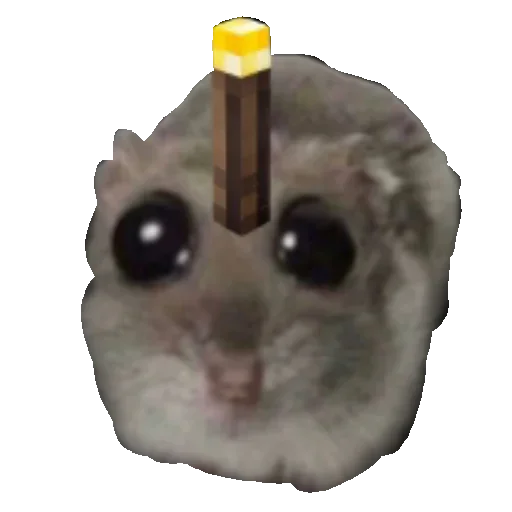 birthday cake indoor candle