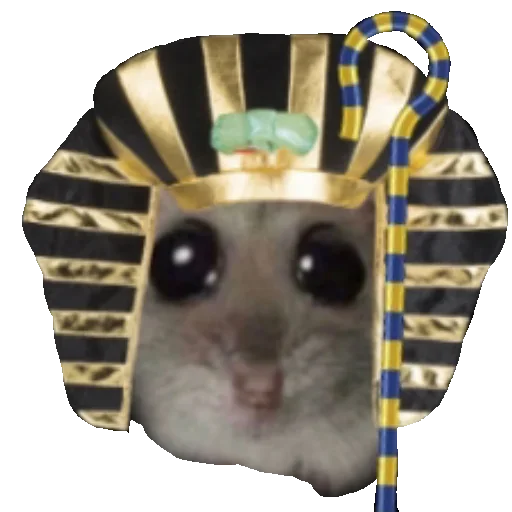 животное млекопитающее мышь