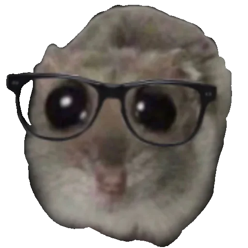 glasses indoor glass