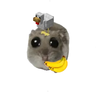 Стикер Курва хомік @Ua_anime_stickers - 5