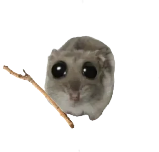 Стикер Курва хомік @Ua_anime_stickers - 6