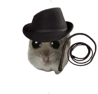 Стикер Курва хомік @Ua_anime_stickers - 7