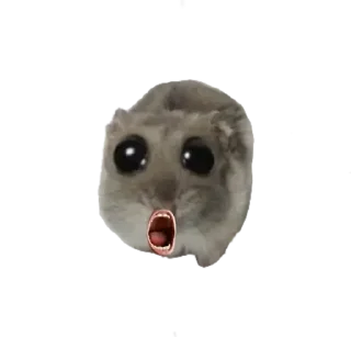 Стикер Курва хомік @Ua_anime_stickers - 3