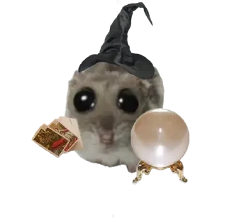 Стикер Курва хомік @Ua_anime_stickers - 0