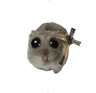 Стикер Курва хомік @Ua_anime_stickers - 1