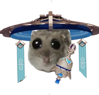 Стикер Курва хомік @Ua_anime_stickers - 8