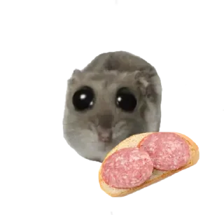 Стикер Курва хомік @Ua_anime_stickers - 4