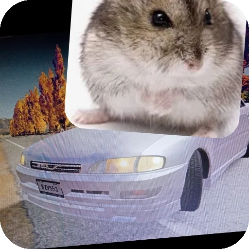 Sticker Homyachki204 - 1