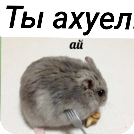 Sticker Homyachki204 - 1