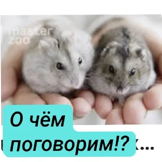 Стикер Хомячки ™™™™ - 2