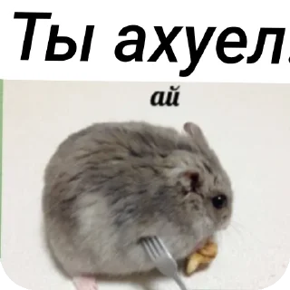 Стикер Хомячки ™™™™ - 7