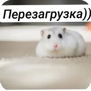 Стикер Хомячки ™™™™ - 5