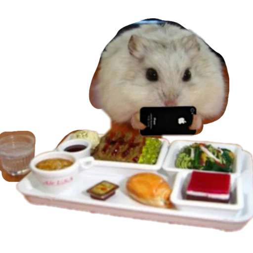 Sticker Homyaki653 - 1