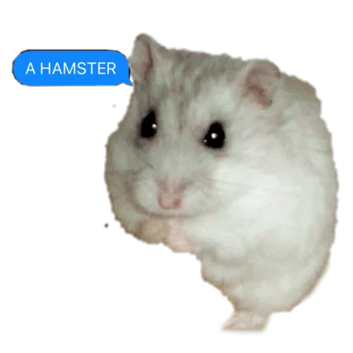 Sticker Homyaki653 - 1