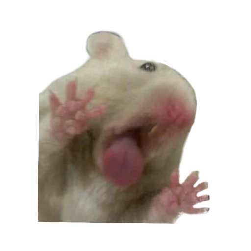 Sticker Homyaki653 - 1