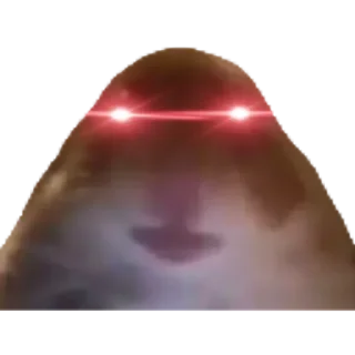 Sticker Хомяки - 0