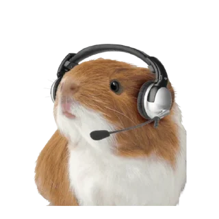 Sticker Хомяки - 11