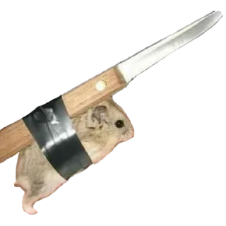 Sticker Хомяки - 10