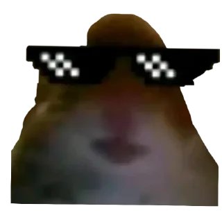 Sticker Хомяки - 4