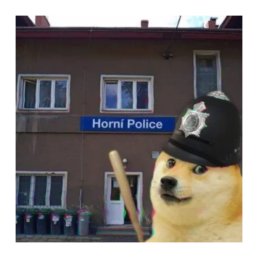 здание окно собака