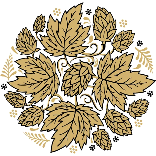 flower sketch drawing