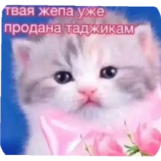 Sticker Пиздец - 9