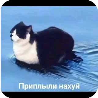 Sticker Пиздец - 4