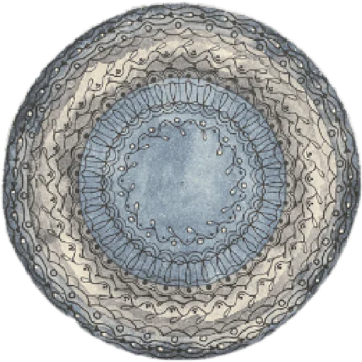 Стикер Horoscope_school - 1