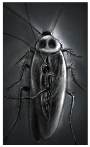 Стикер Horror - 2