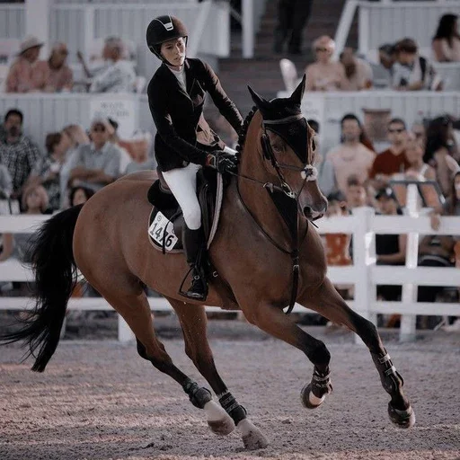 Sticker HorseAsya - 1