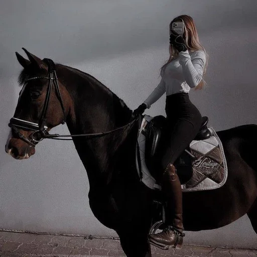 Sticker HorseAsya - 1