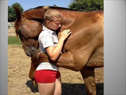 Sticker HorseAsya - 1