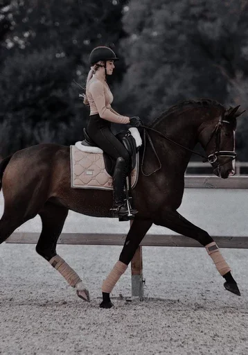 Sticker HorseAsya - 1