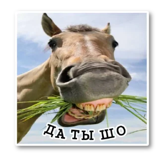 Стикер ~•Ⲯυⳅⲏυⲏыⲉ Ⲗⲟⲱⲁⲇυ•~ - 6