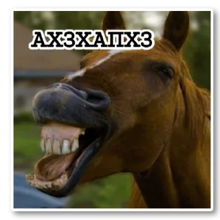 Стикер ~•Ⲯυⳅⲏυⲏыⲉ Ⲗⲟⲱⲁⲇυ•~ - 8