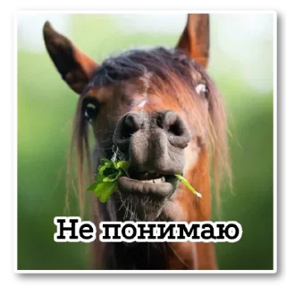 Стикер ~•Ⲯυⳅⲏυⲏыⲉ Ⲗⲟⲱⲁⲇυ•~ - 2