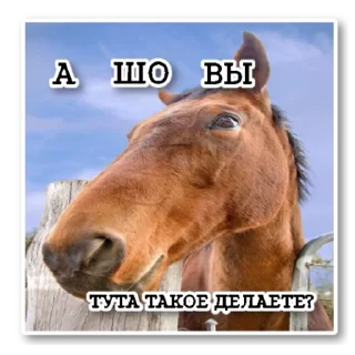 Стикер ~•Ⲯυⳅⲏυⲏыⲉ Ⲗⲟⲱⲁⲇυ•~ - 1