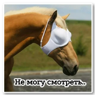 Стикер ~•Ⲯυⳅⲏυⲏыⲉ Ⲗⲟⲱⲁⲇυ•~ - 9